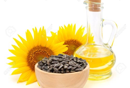 Sunflower oil, seeds and flower isolated on white background.